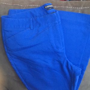 Blue Express Editor Pants